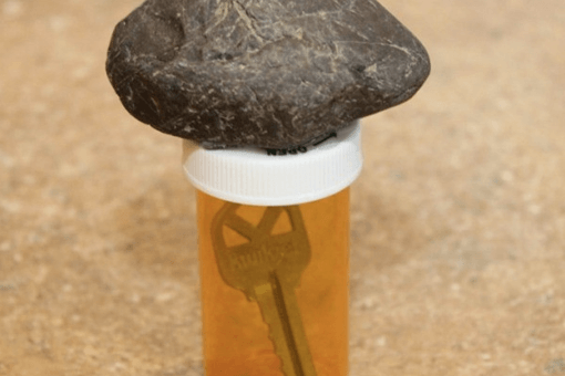 Easy DIY Garden Projects That You Can Make at Your Home | CraftSide